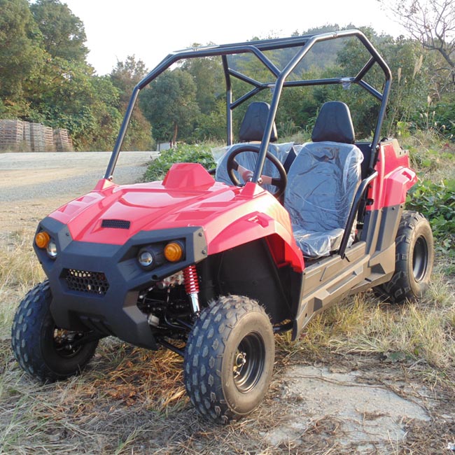 small side by side utv