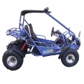 Beach Buggy Off-Road Go Kart 