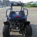 Beach Buggy Off-Road Go Kart 