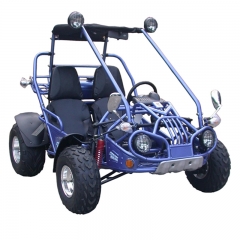 Buggy Off Road Go Karts For Sale