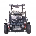 2 Sitzer Racing Buggy mit umgekehrter 150cc schwarz 