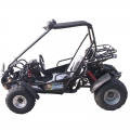 2 Sitzer Racing Buggy mit umgekehrter 150cc schwarz 