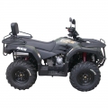 ATV Quad Off Road 4 x 4 300cc grün 