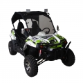 UTV Side By Side Off-Road 300 