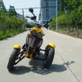 50cc 3-Rad Gas Scooter Trike Motorycycle 