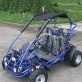 Kinder Benzin Buggy 200cc Fabrik Preis 