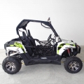 UTV Side By Side Off-Road 300 