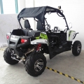 UTV Side By Side Off-Road 300 