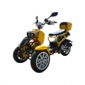 50cc 3-Rad Gas Scooter Trike Motorycycle 