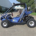 Beach Buggy Off-Road Go Kart 