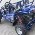 Kinder Benzin Buggy 200cc Fabrik Preis 