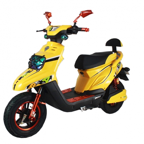 800W Elektro Motorrad Roller