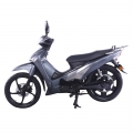 Moped Scooter Bike Elektro für Erwachsene mit Pedal 