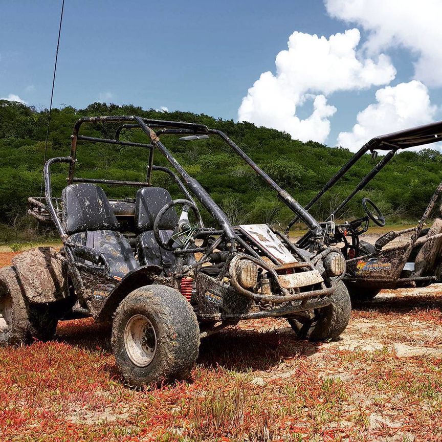 Off-Road Go Kart